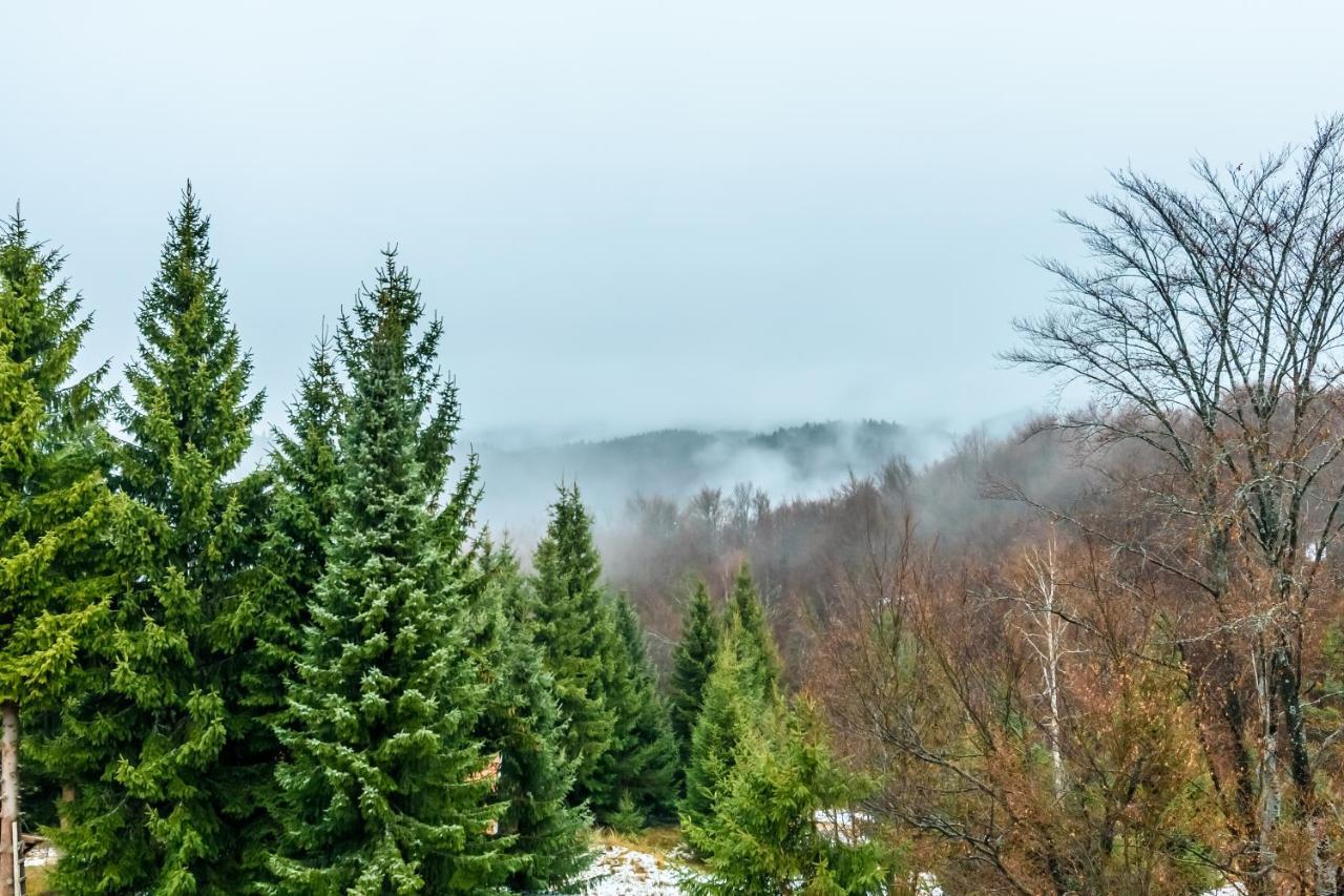 Apartmani “Lazar” I “Lena” Kopaonik Exterior foto